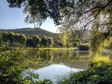 Schöne Natur an der Loire