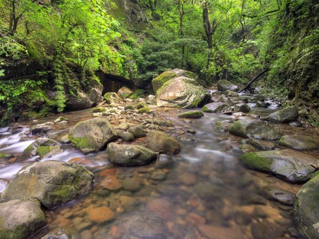 Nature around Oropendola Waterfall