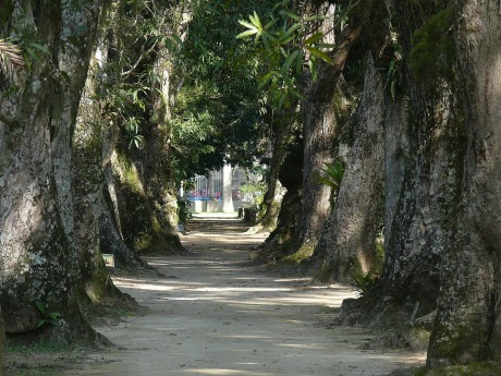 Jardim Botânico