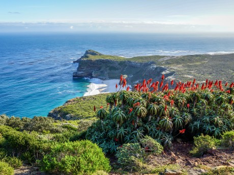 Südafrika_Western Cape_Cape of Good Hope