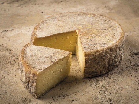 Catauá Cheese