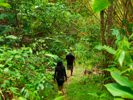 Tobago: Island Girl Adventures