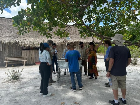 participating in workshop