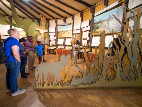 Sunway Zimbabwe Hwange Wild Dog Center B