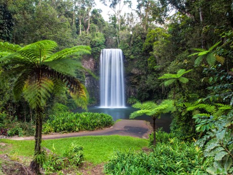 Australien_Ql_Atherton Millaa Millaa Fal
