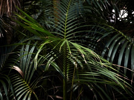 Arajilla Eco Retreat