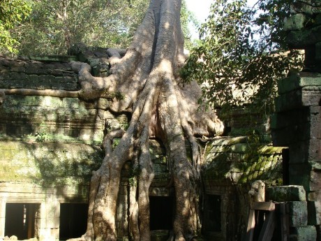 Ta Prohm