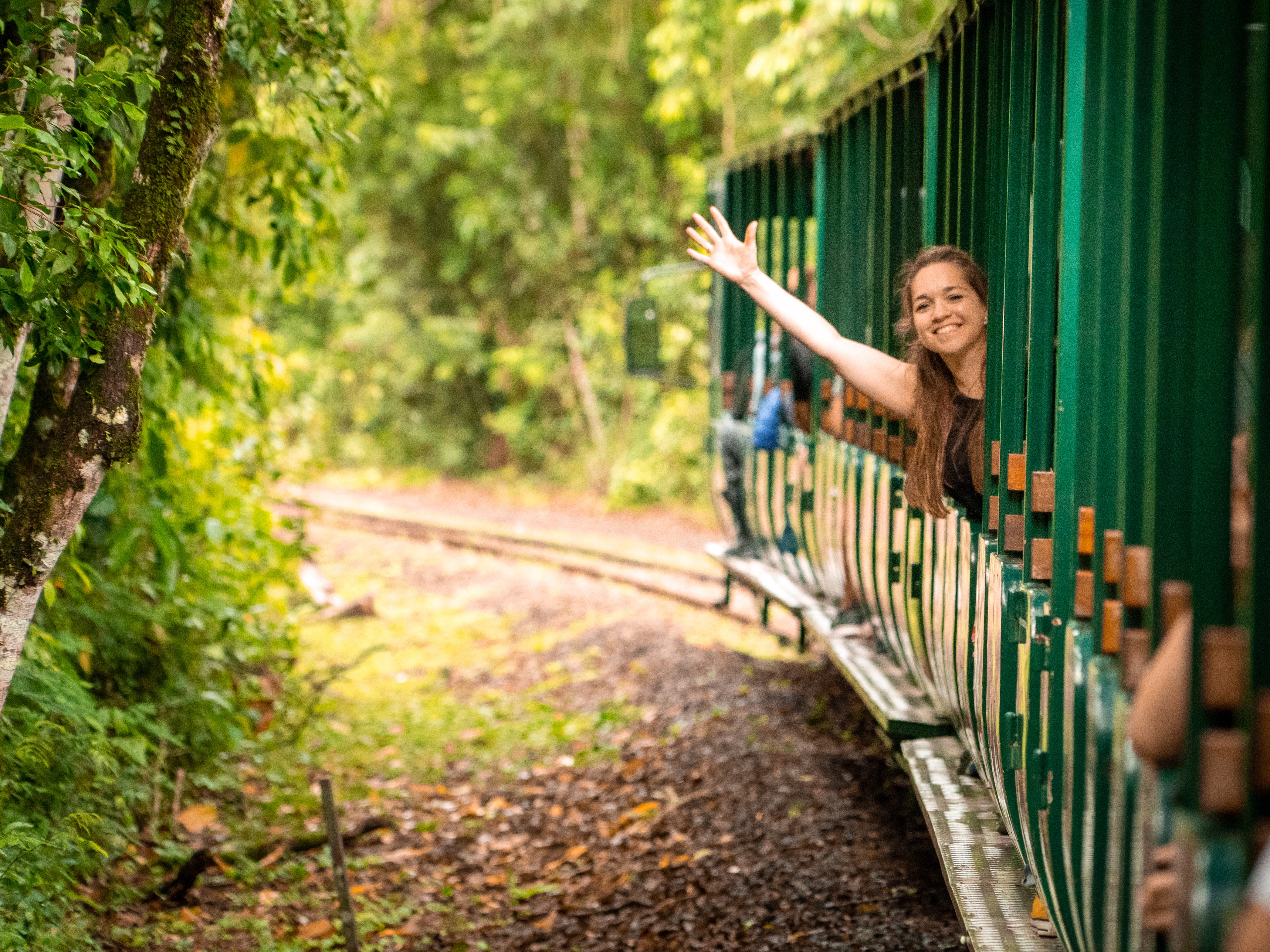 Iguazu Tren Ecologico de la Selva