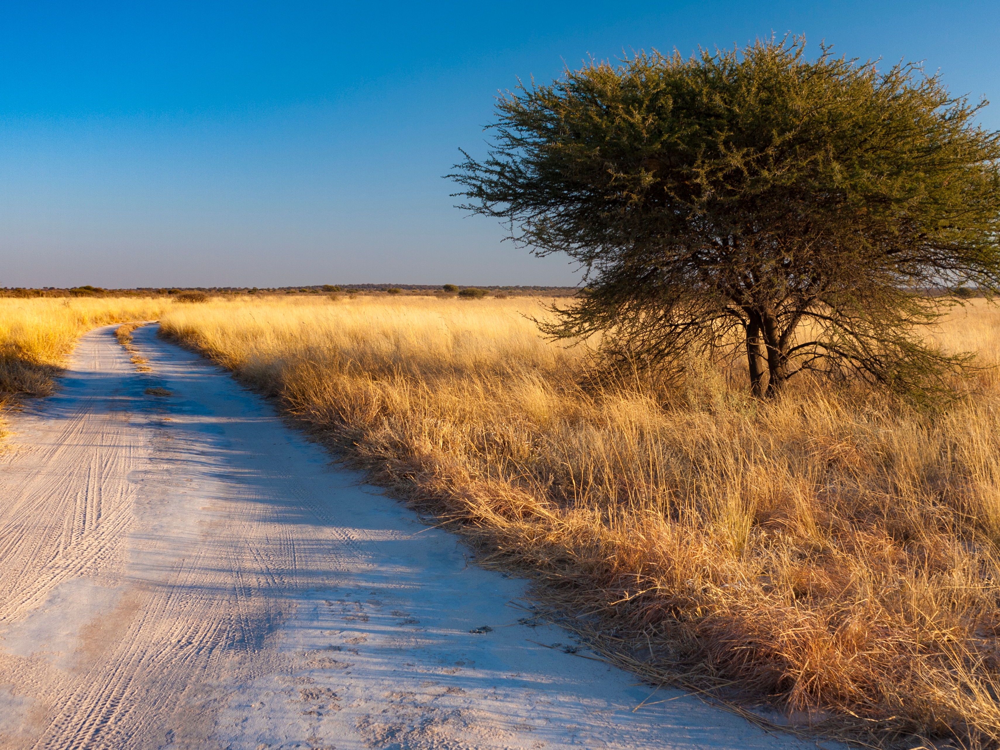 Kalahari Game Reserve