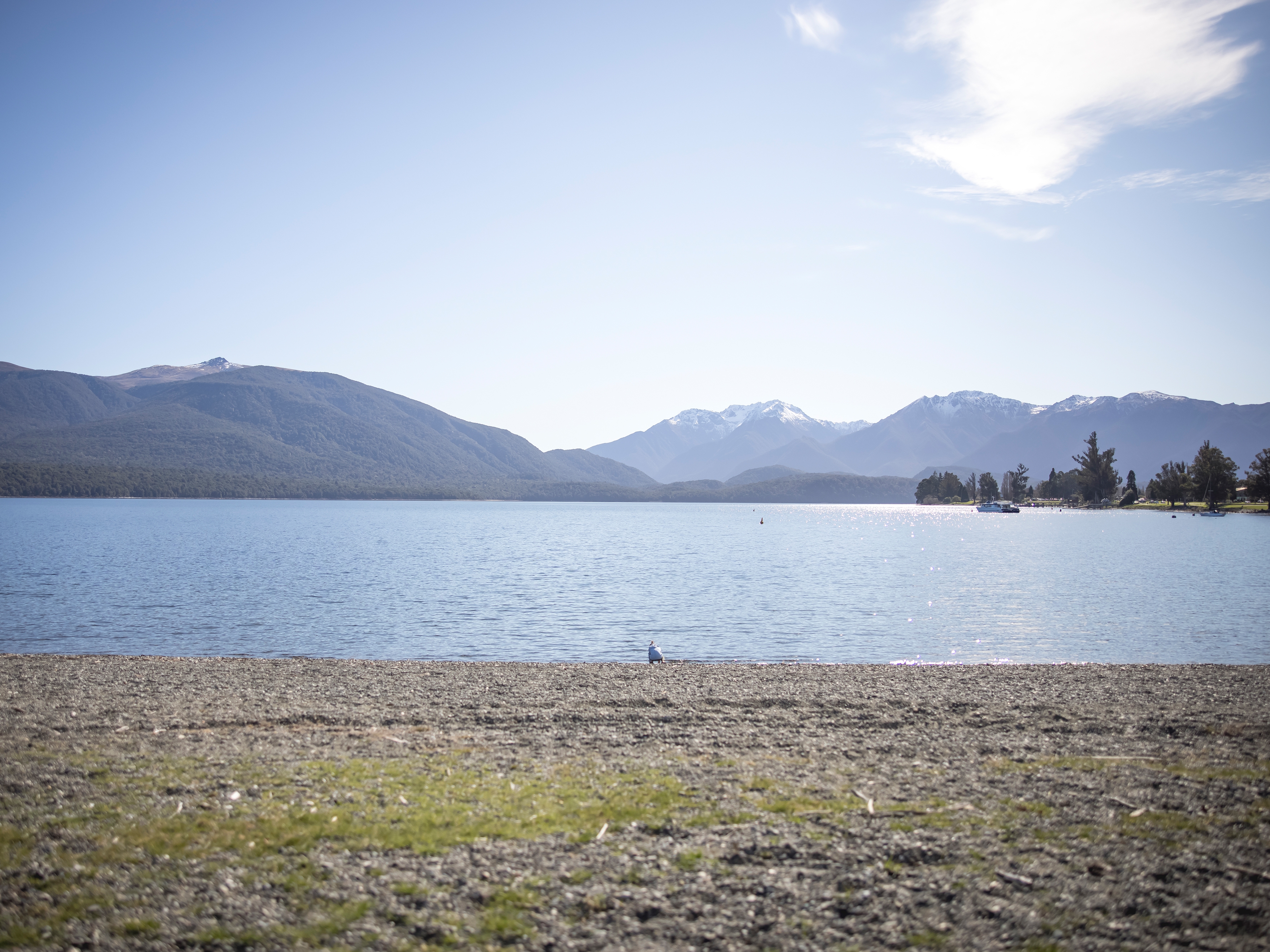 Lake Te Anau 