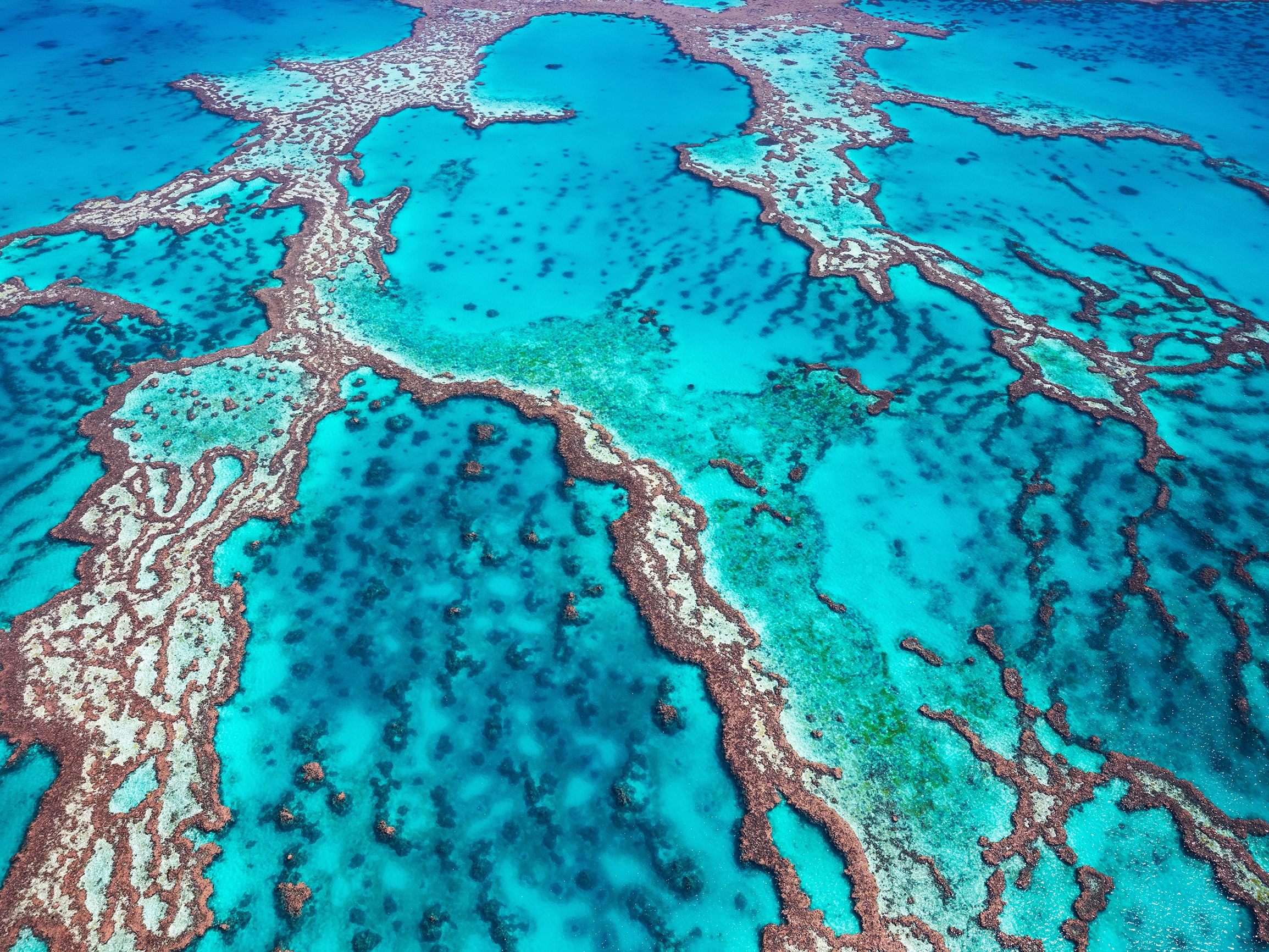 Queensland Great Barrier Reef Luftbild