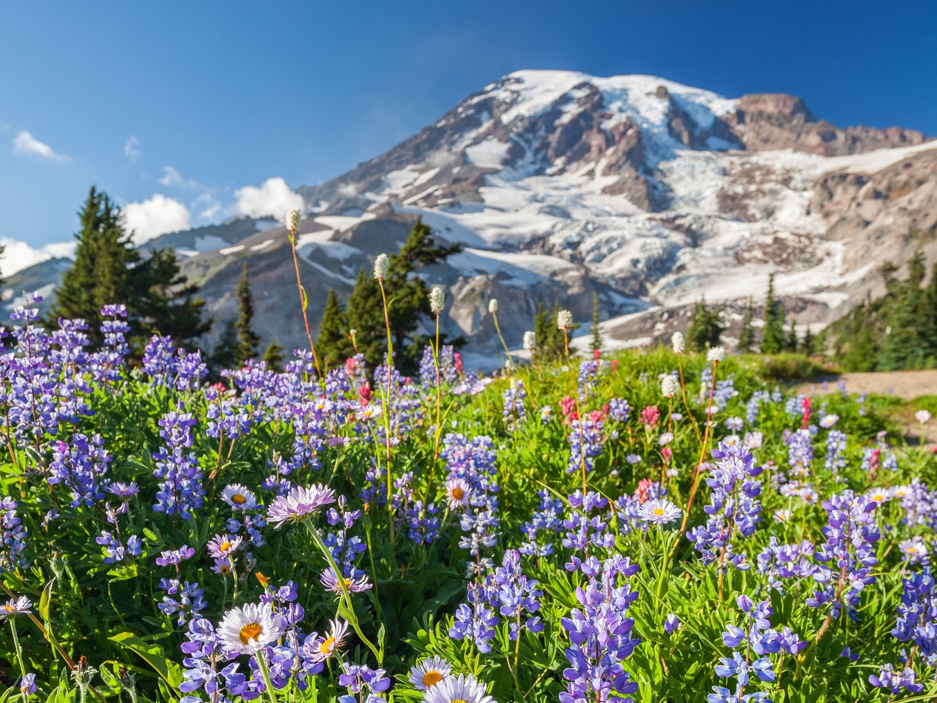 Mount Rainier Nationalpark 