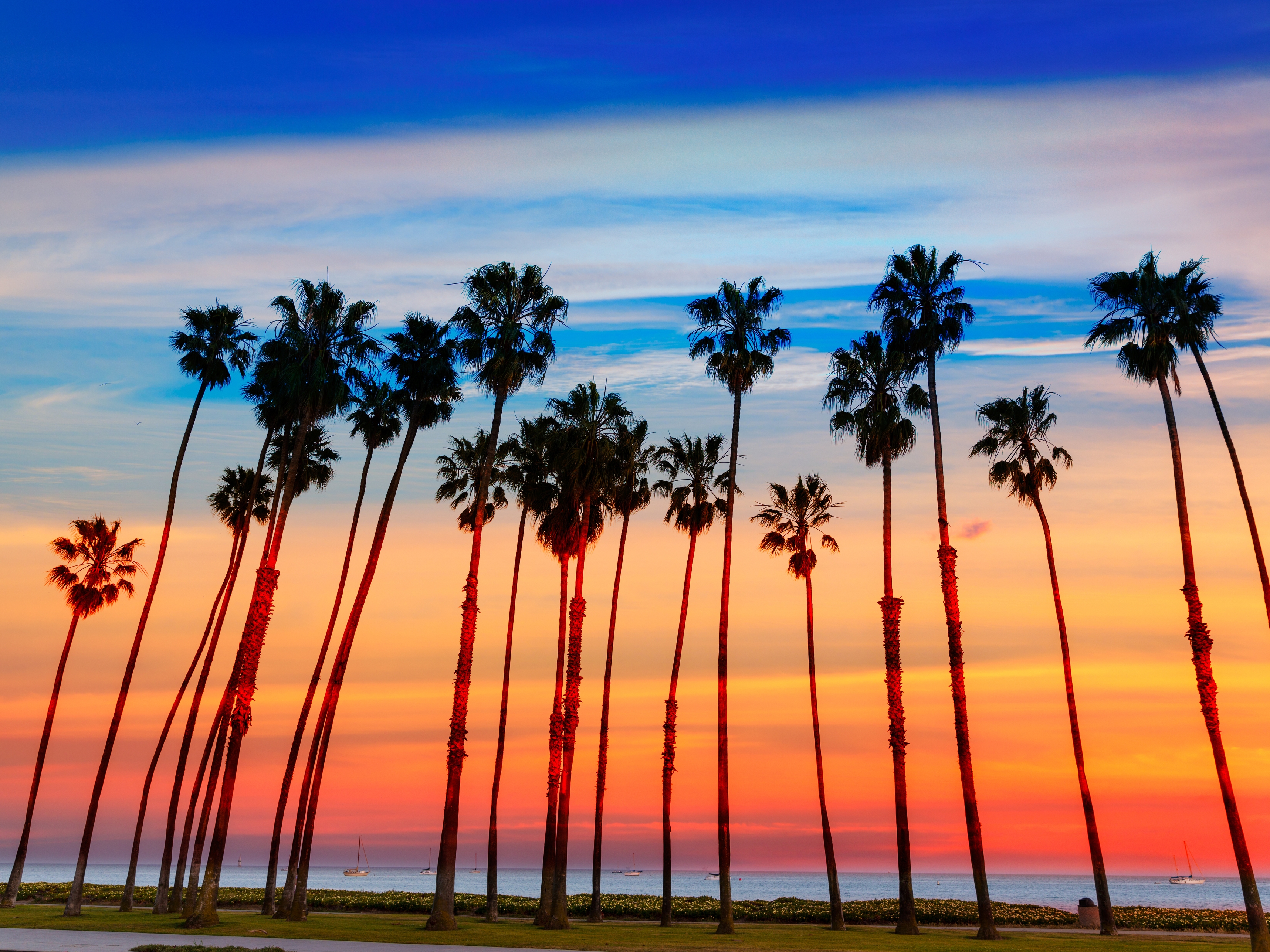 Santa Barbara