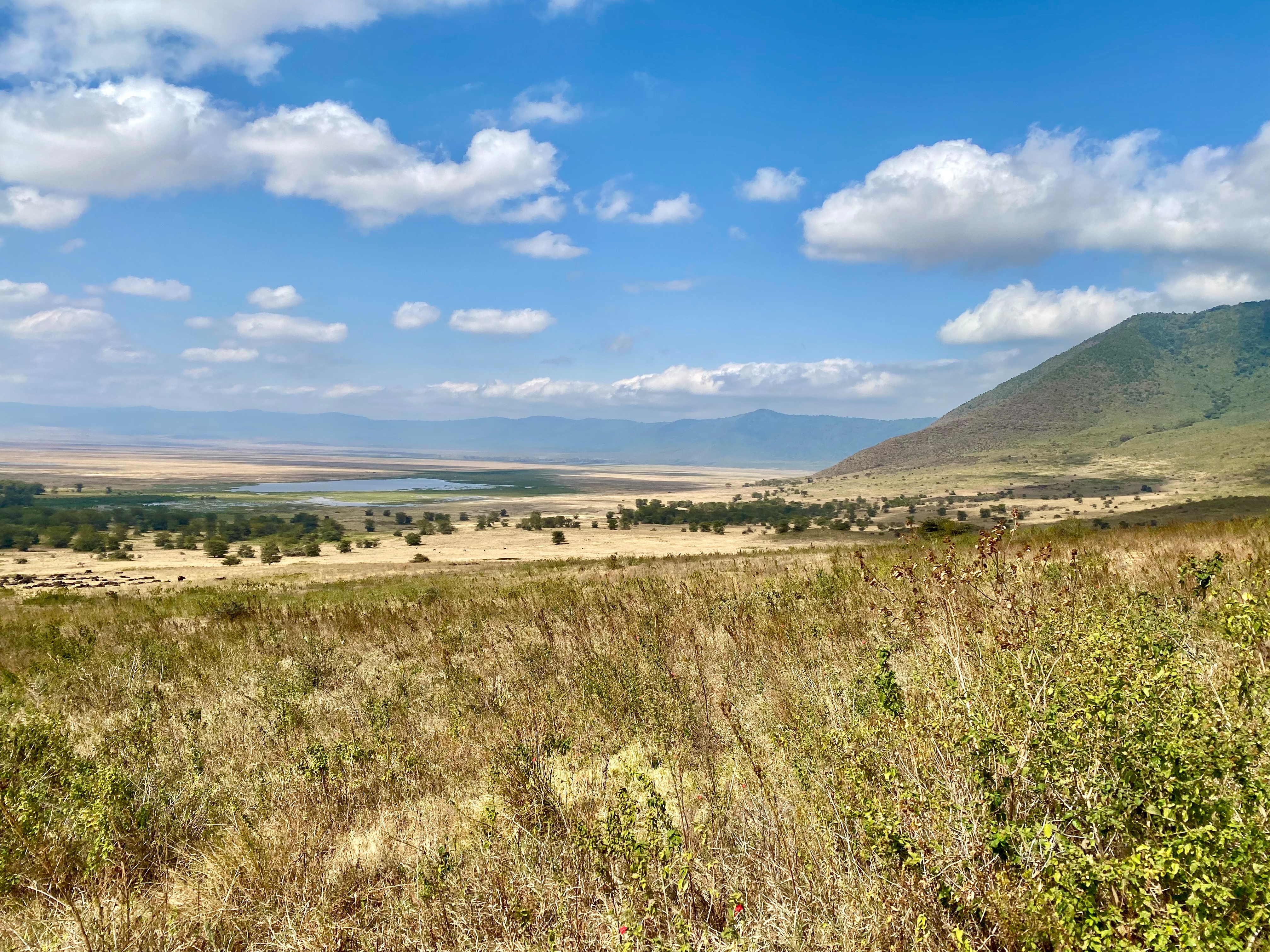 Ngorongoro Conservation Area
