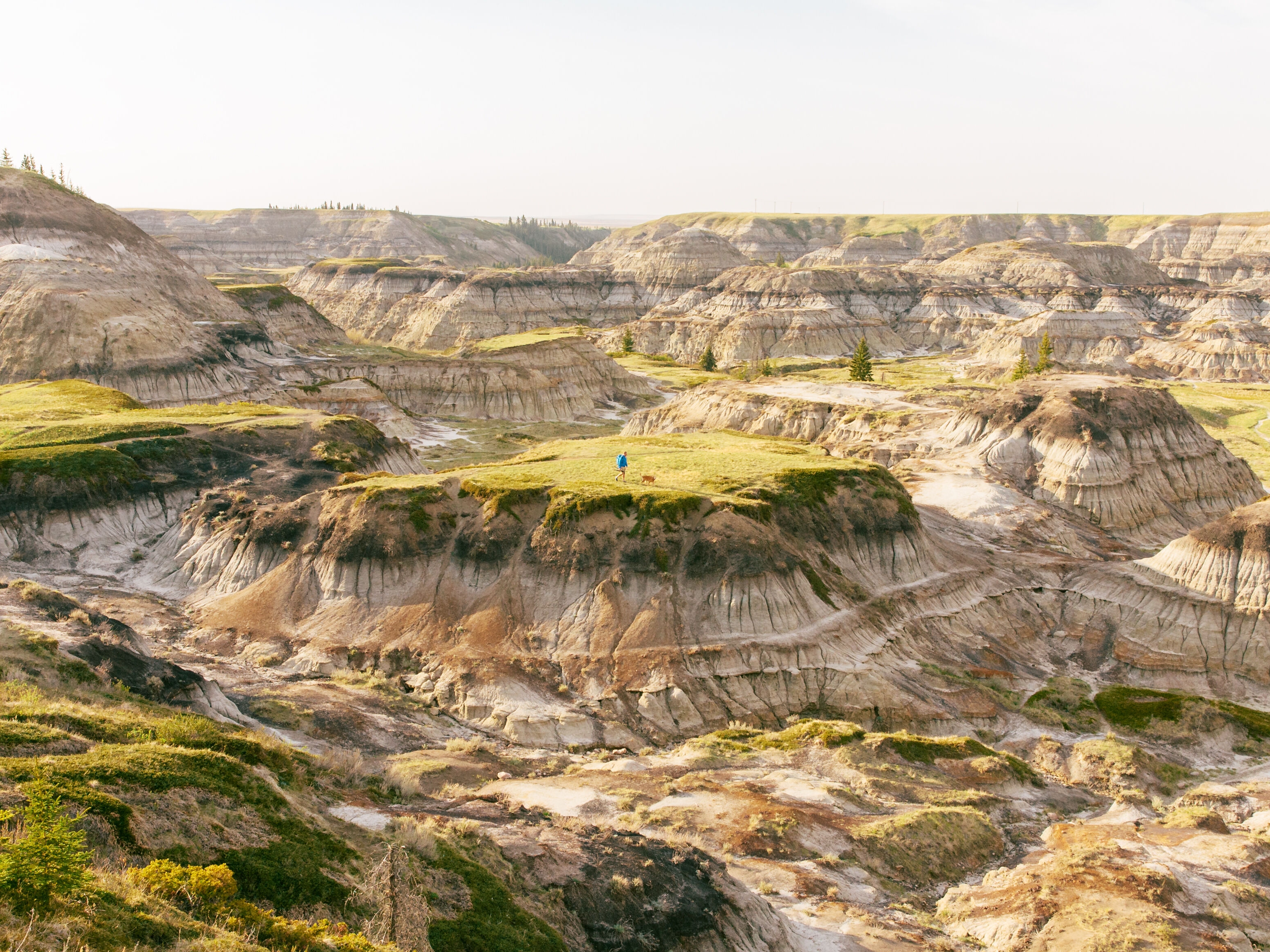 Drumheller 
