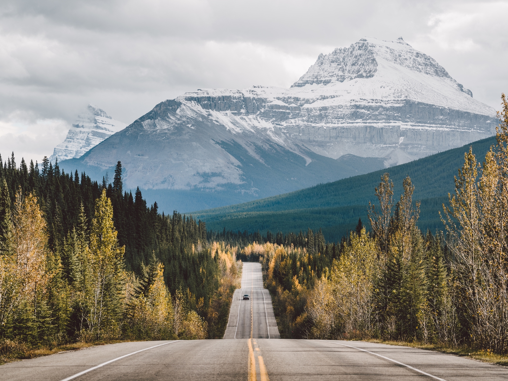 Jasper NP Icefields Parkway