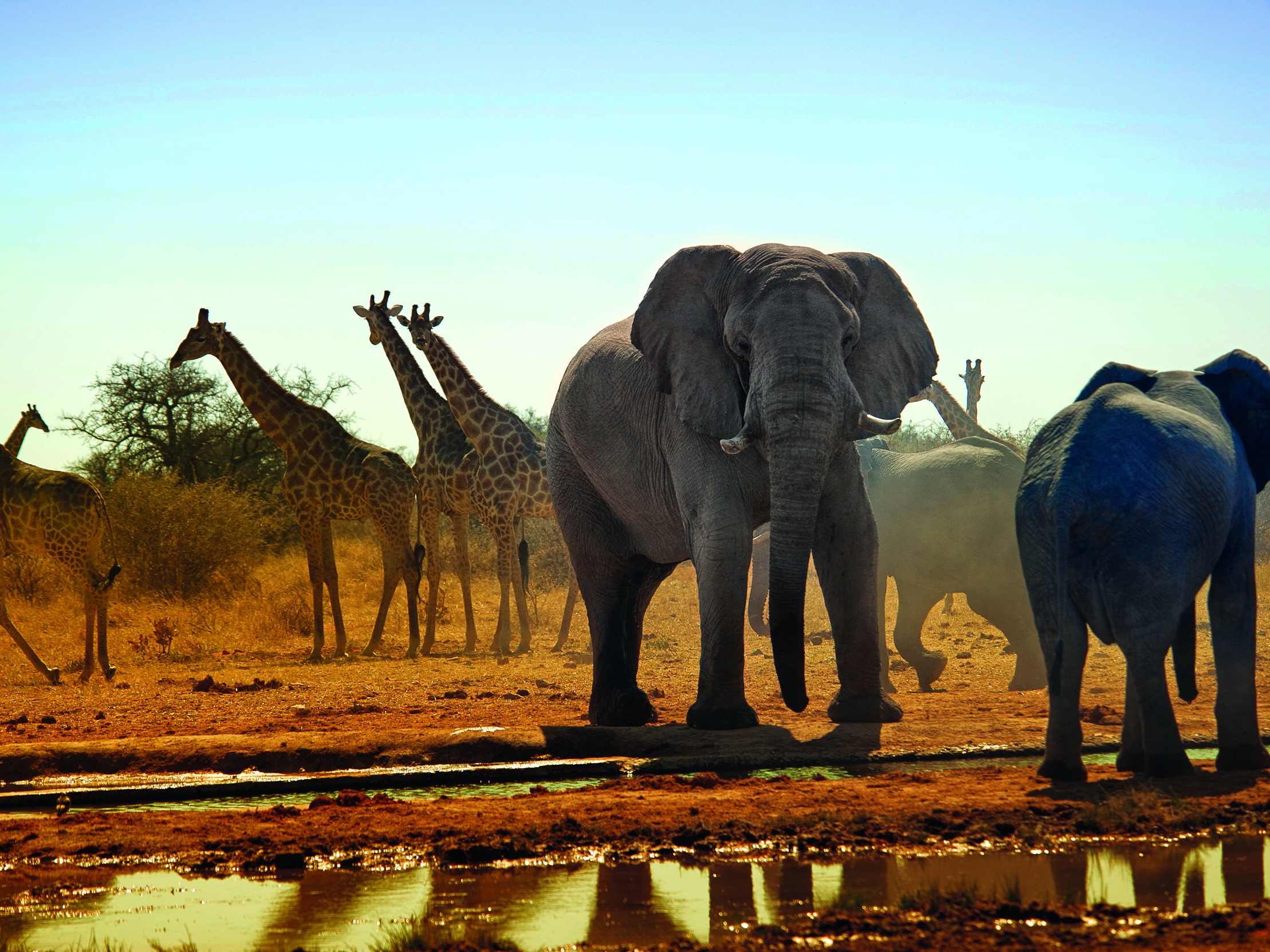 Etosha Nationalpark 