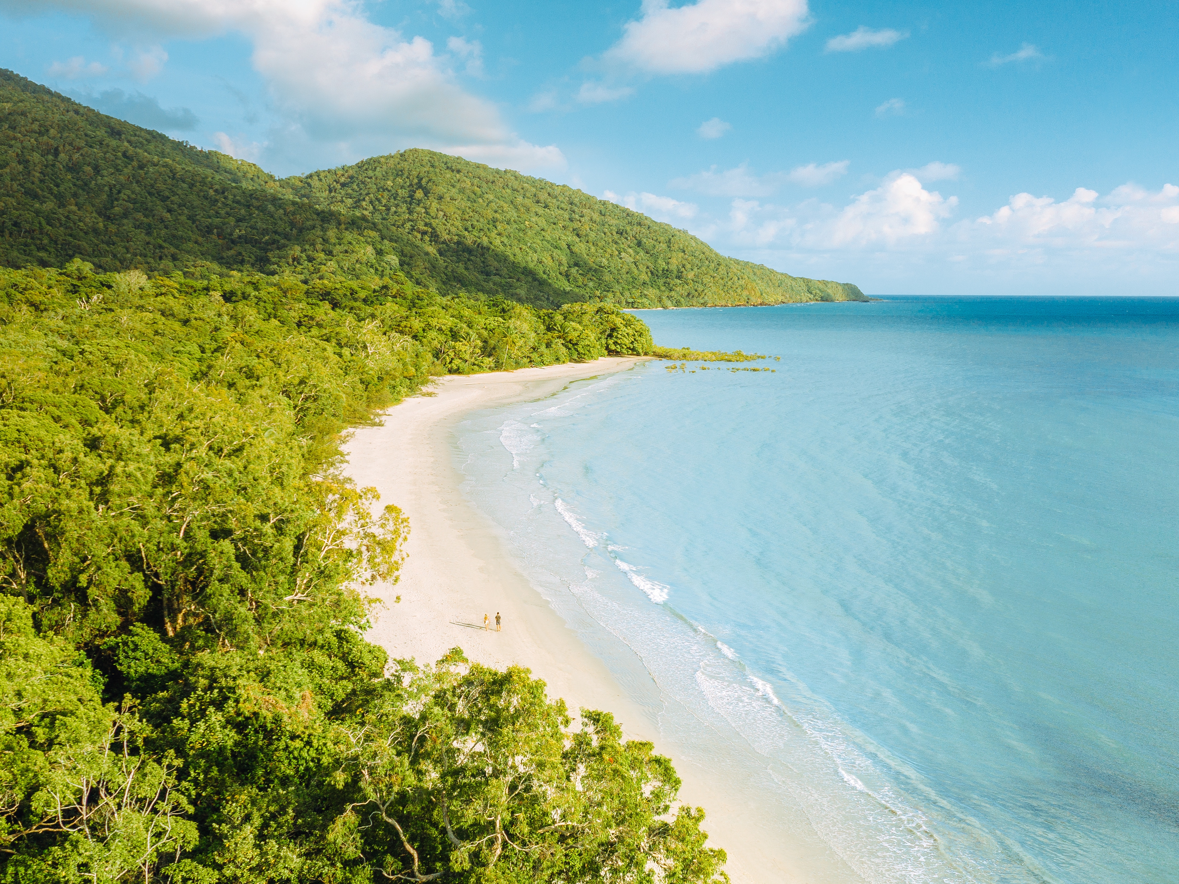 Cape Tribulation
