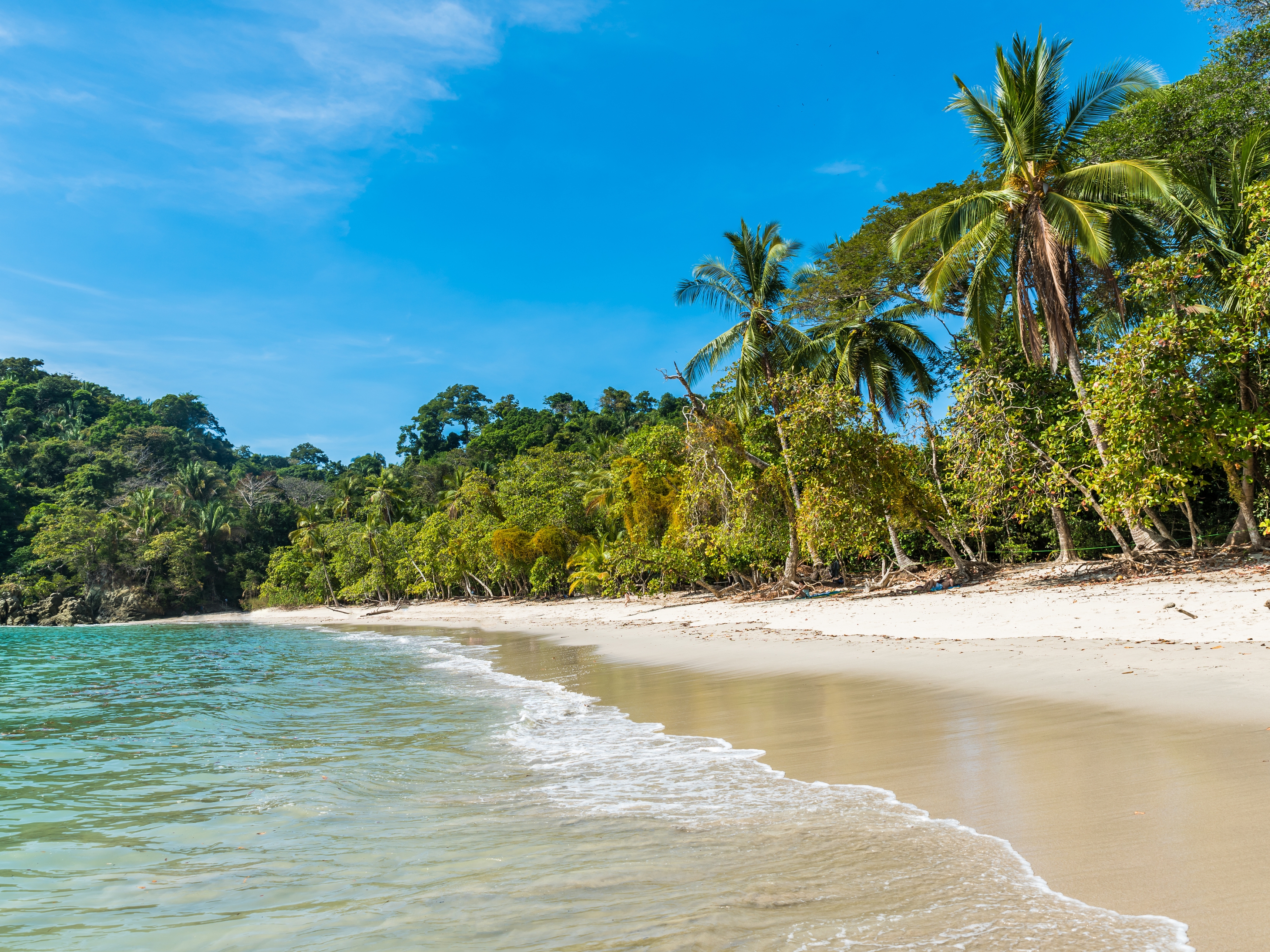 Manuel Antonio Nationalpark