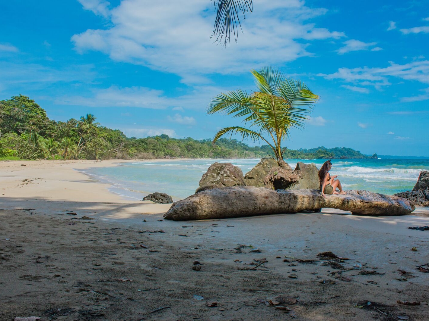 Bocas del Toro Red Frog Beach