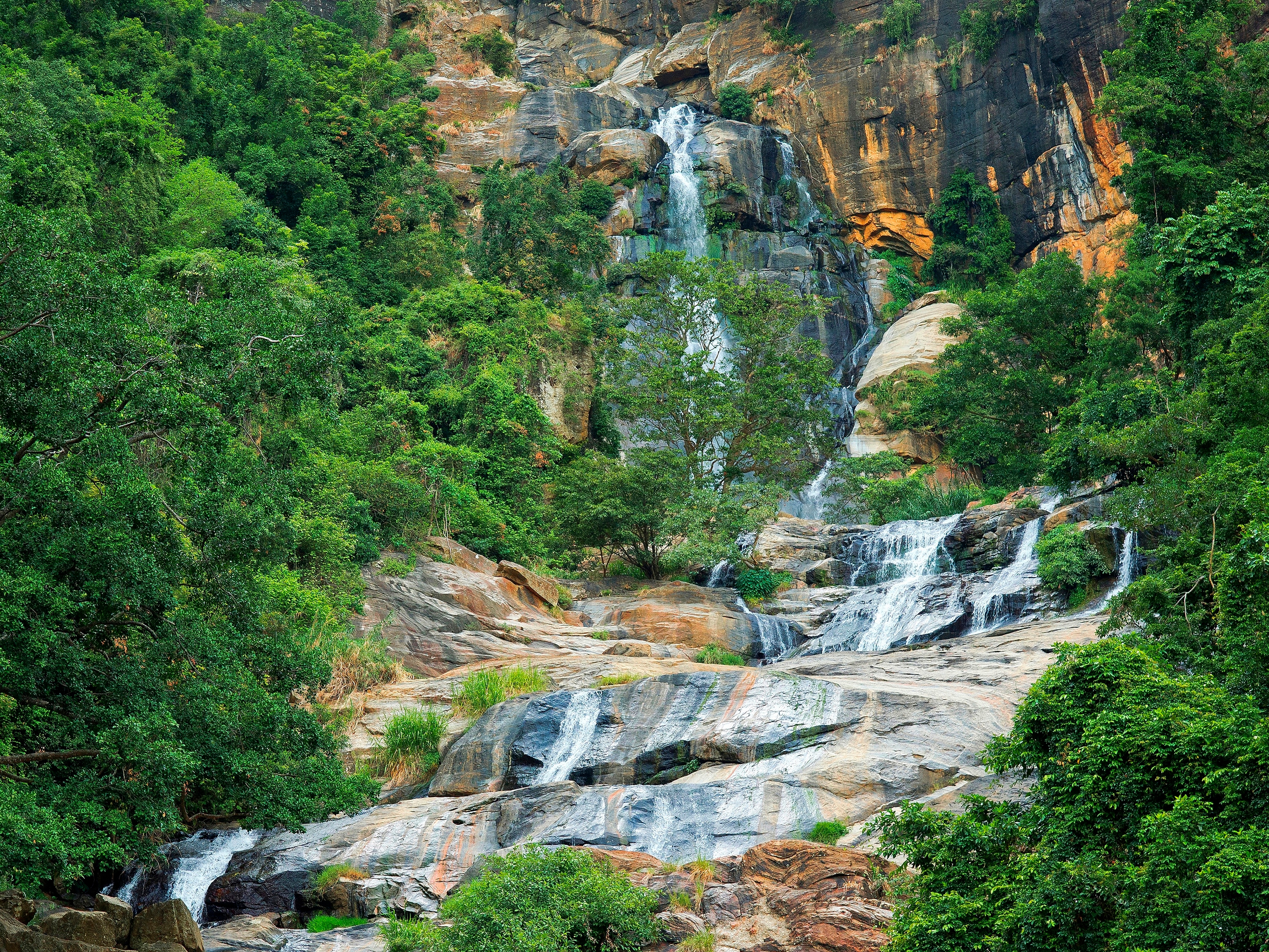 Ravana Ella Wildlife Sanctuary