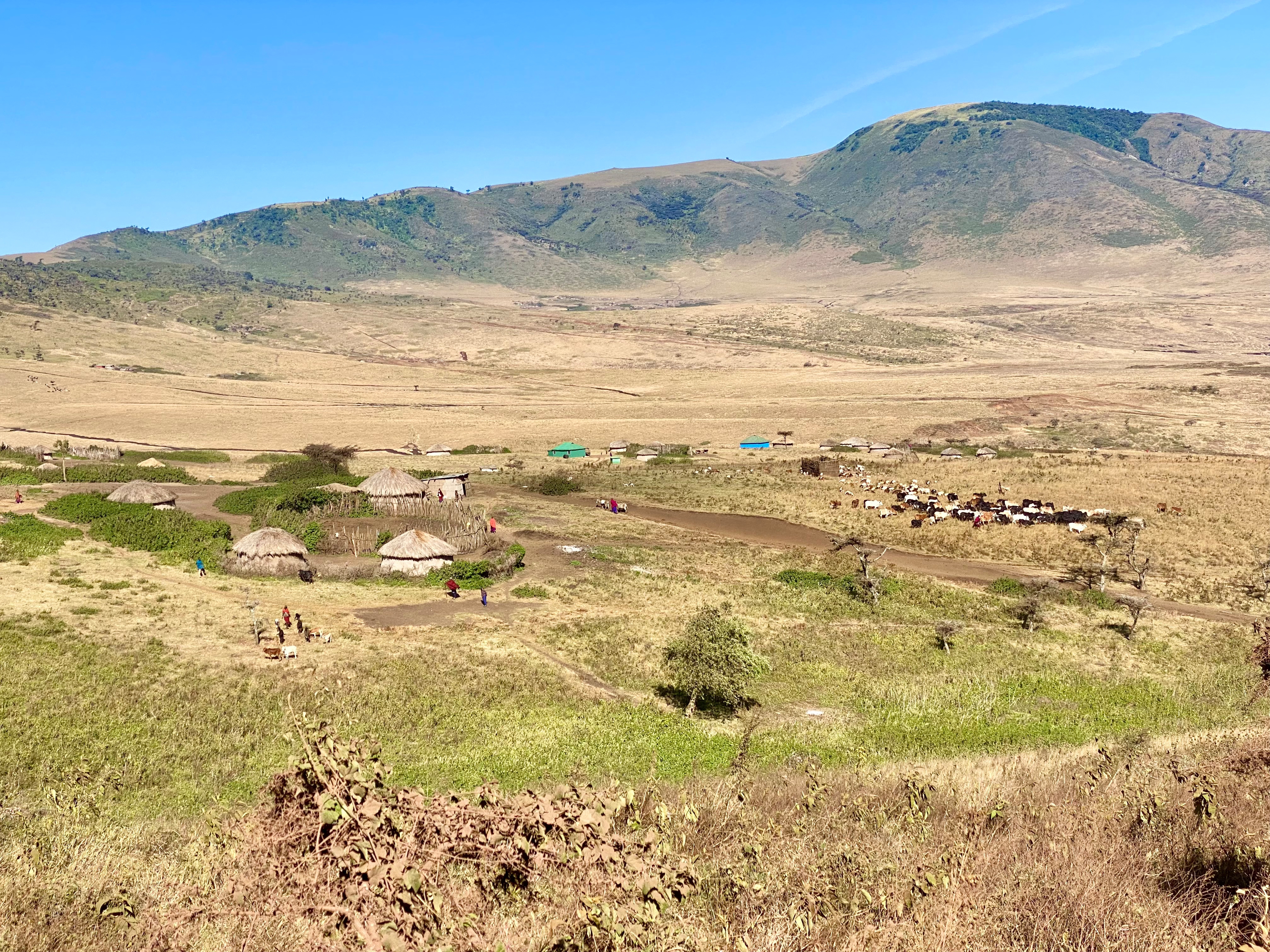 Ngorongoro Conservation Area Dorf
