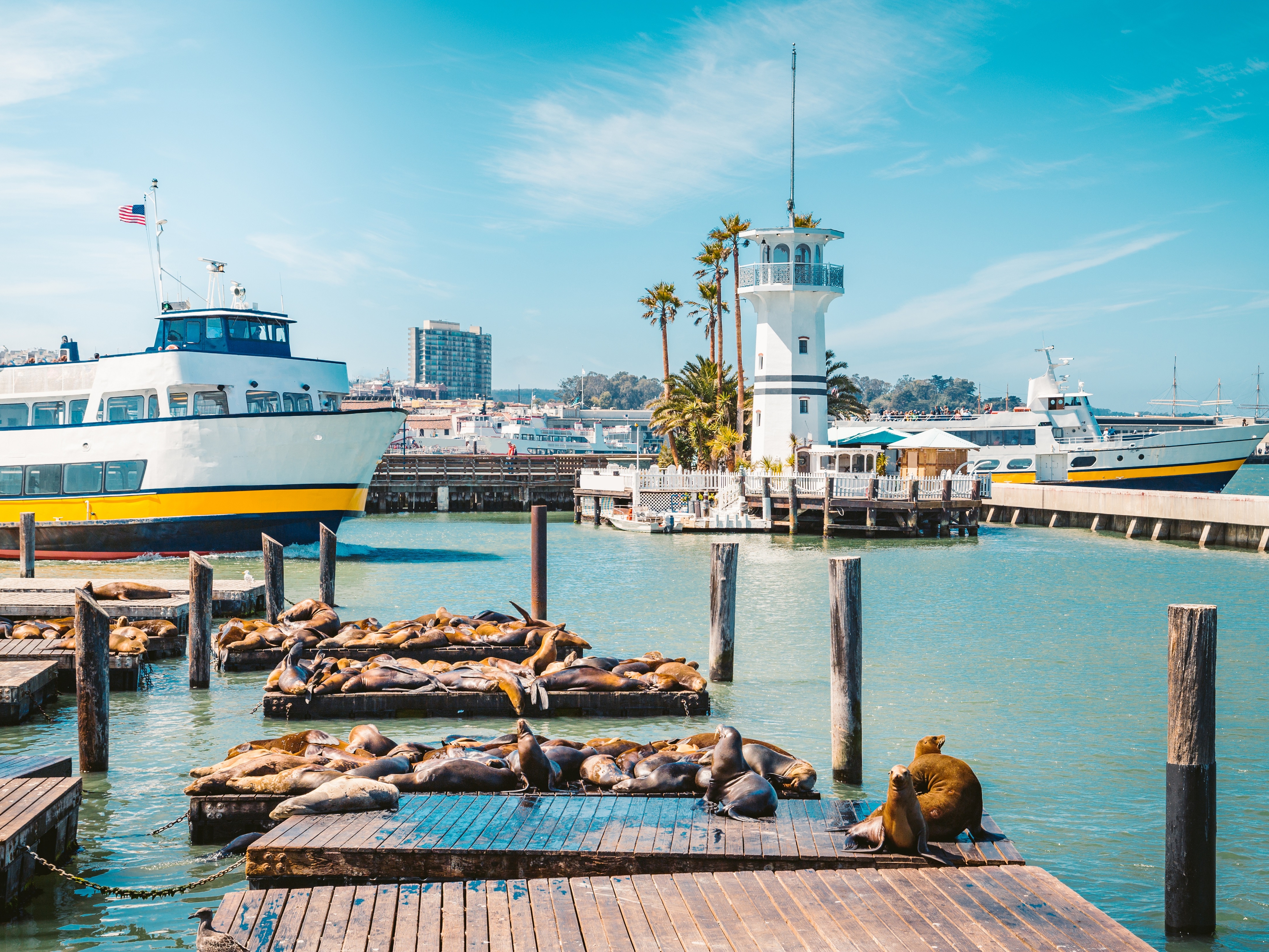 San Francisco Fishermans Wharf Pier 39