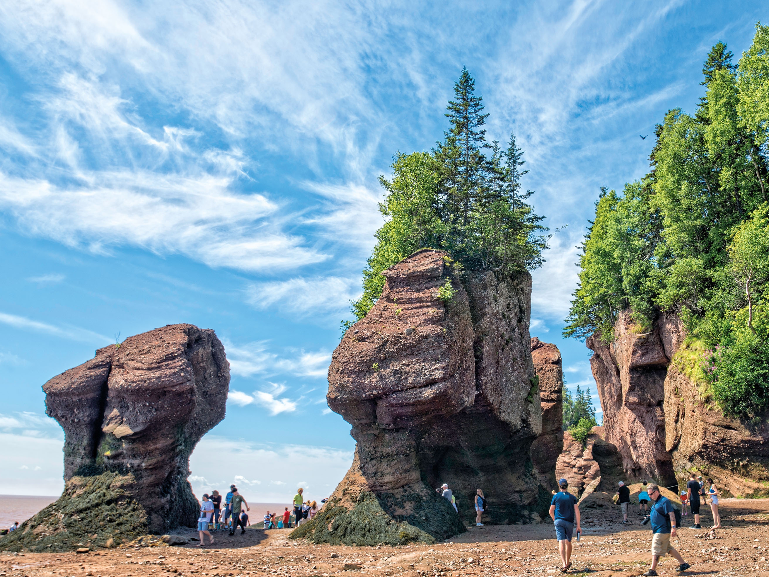 Bay of Fundy Hopewell Rocks