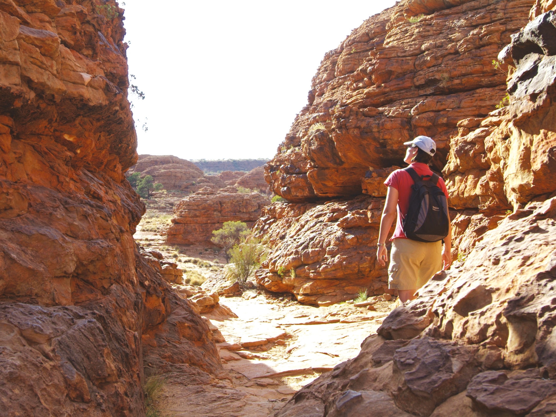 Watarrka National Park Kings Canyon